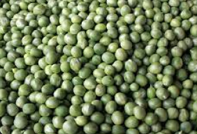 Arveja Verde