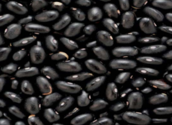 Poroto Negro